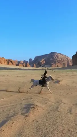 لا بالله أفلحنا 😂😂#عشار #مرايا #العلا #خيل🐎 #خيل_وخياله🐎 #صهوات #التقاط_اوتاد 