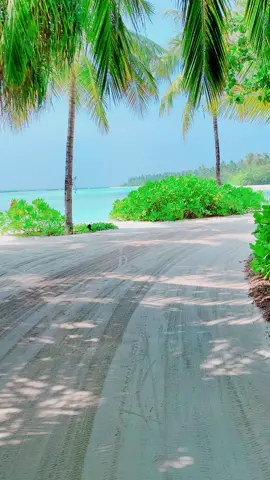 #maldives #maldivestiktok #maldivesvacation #niyama #view #vacation #vacationmode #tropical #tropicalisland #holidays 