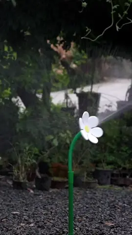 Funny lawn sprinkler system #plant #plants #grass #garden #lawnsprinkler #funny 