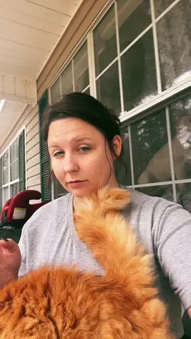 #orangecatsoftiktok 