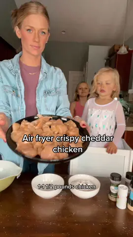 Air fryer crispy cheddar chicken