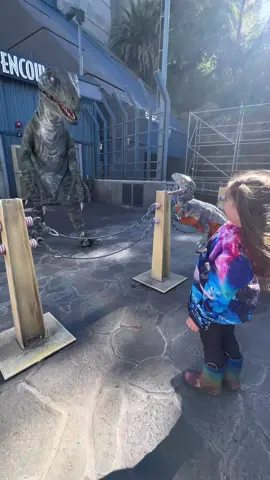 Raptor Encounter at Universal Studios! Also Happy Birthday Emily!!! Im so happy you got to spend your day seeing your favorite thing ever!! #universalstudios #universalstudioshollywood #jurassicworld #raptorblue #raptorencounter 