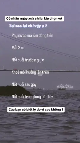 Tại sao lại chỉ vậy ạ ?