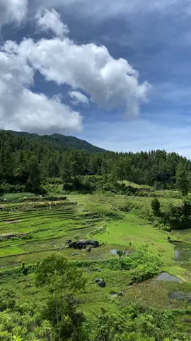 Sampi detik ini masih belum nyangka bisa menginjakan kaki di salah satu desa di tana toraja dengan bentang alam yang begitu indah  📍lembang balepe, tana toraja.