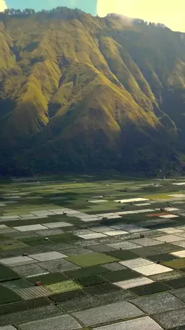 Lokasi terbaik sunrise dengan view sawah dan bukit yang megah di Sembalun Lombok 🎥 @malimaftuh  #reels #sembalun #lombok #rinjani #folkscenery #discoverearth #djiera #weexplore0 #djiglobal #discovery #visit #beautifuldestinations #wonderfulindonesia #folkindonesia #folkscenery #earthpix #earth #diindonesiaaja