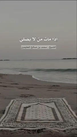 #مكه_الان #الحرم #المدينه_المنورة #تلاوات #تلاوات_خاشعة #explore #السلفية #أحاديث #قران #السنة_النبوية #اكسبلورexplore #مقاطع_اسلاميه #مقاطع_دينيه #trend #tiktok #تلاوة_مؤثرة #المسجد_النبوي #حالات_وتس #الحرم_المدني #ابن_العثيمين 