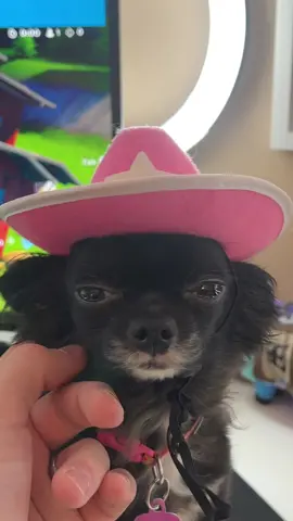 Cowgirl Puddin 🥹❤️ #1jolly1 