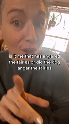 #angeredthefae #fairytrouble #spiritualtiktok #fairytiktok #fae 
