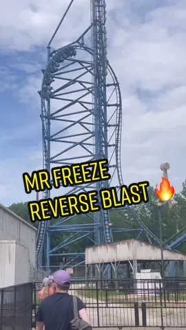 Mr Freeze Reverse Blast @SixFlagsStLouis #insane #backwards #rollercoaster #tall #fast #ride #themepark #stlouis #fyp #foryoupage #dylanscoasteruniverse 
