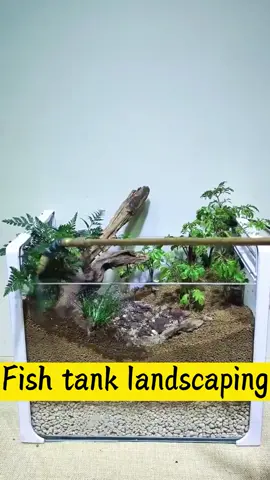 Hand-held cylinder landscape, suit for fish and turtle #landscape #aquascape #fishtank#turtletank #fish #turtle #petlife #pet #decoration #aquarium #petlover #fyp