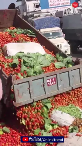Farmers of Chitwan protests by throwing vegetables on the highway #tiktoknepal #nepalitiktok #chitwan #foryoupage