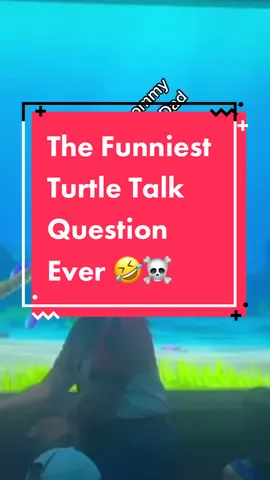 Who wants to hear what the Dad says? #turtletalkwithcrush #findingnemo #disneyparks #disney #disneyland #disneyworld 