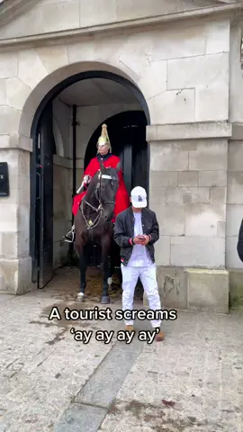 #horseguardsparade #changingoftheguards #royalguards #thekingsguards #kingsguard #kingshorse #fyp #foryou #fypシ 
