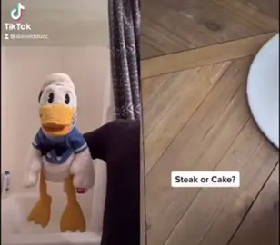 #duet with @cakesbymarian STEAK OR CAKE