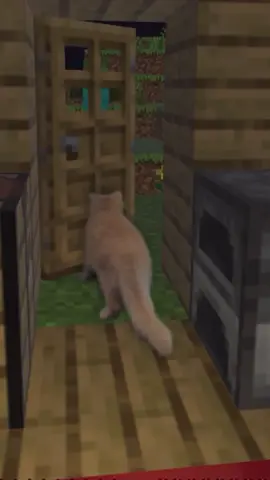 😳