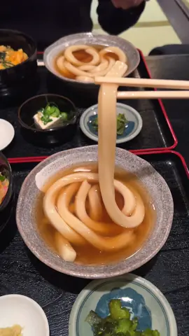 老舗うどん屋の日本で1番太くて長い1本うどん🍲うどんはもちもち、セットの出汁が効いた親子丼もおいしくて大満足！！ ちなみに麺は2本入ってるからほんとは2本うどんだった 📍京都「たわらや」 #京都グルメ #京都 #tiktokfood #kyoto #japanesefood 