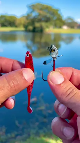 I like the realistic look this bait has.  When I bought these swimbaits I though they were bigger but this little one still did the job!  cuando yo ordene esta carnada pensaba que era mas grande pero esta me agarro una  lobina grande.  #fishingfyp #urbanfloridafishing #fishingvideos #fishingtiktoks #bassfishing #fishinglife #southfloridafishing #floridafishing #canaldepescar #outdoorworld #videosdepescar #ceooffishingedits #coolfishingedits #jighead #swimbait #baitcaster #nicebass #carnadadepescar #fromthebottomtothetop 