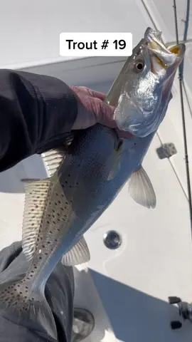 #L&L #fishtok #marker54 #marker54lures #speckledtrout #limits+ #catchnrelease 