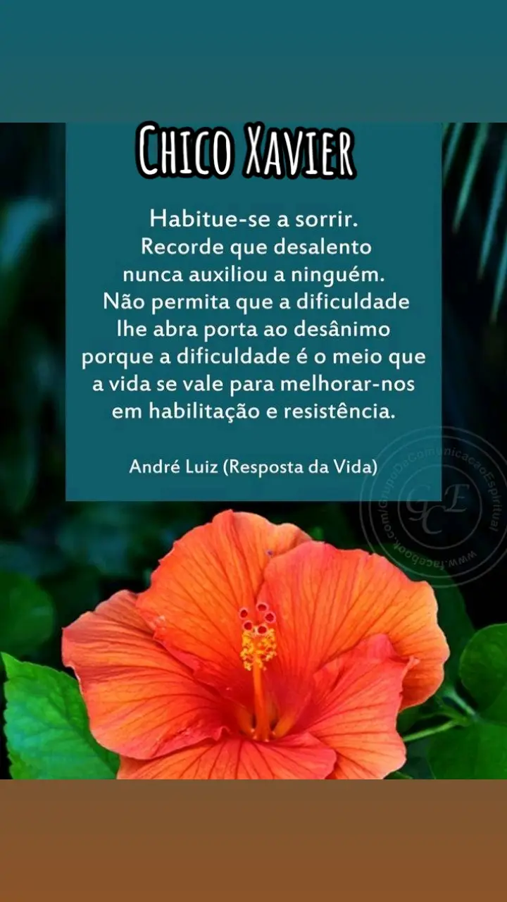 #chicoxavier #espiritismo #espiritismobrasil #espirita #espiritas #espiritasnotiktok #espiritakardecista #kardecismo #medium  #mensagensespiritas 