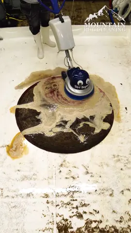 Had to use hot water in this one for sure. #satisfying #asmr #carpetcleaning #foryoupage #fyp 