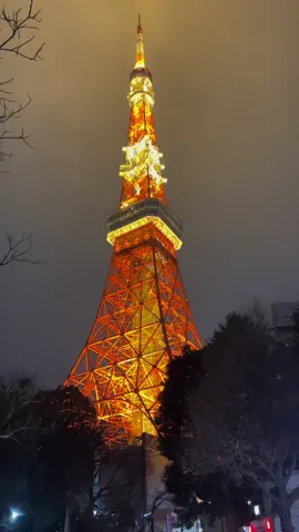 Tokyo Tower at Night 🥹 #japan #tokyo #tokyotower #fyp #travel 