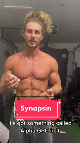 Synapsin 🤔🧠