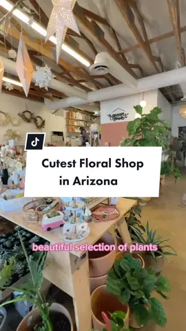 The Gilbert Green House is located less than a mile from downtown Gilbert and it’s the cutest little floral shop! open Tuesday through Saturday and closed Sunday and Monday. And if you’re not in the market for flowers make sure to pop in for some cute gifts @gilbertgreenhouse #gilbertarizona #arizonacheck #visitphoenix #phoenixtravel #visitarizona #arizonatravel #photospots #travelblogger 
