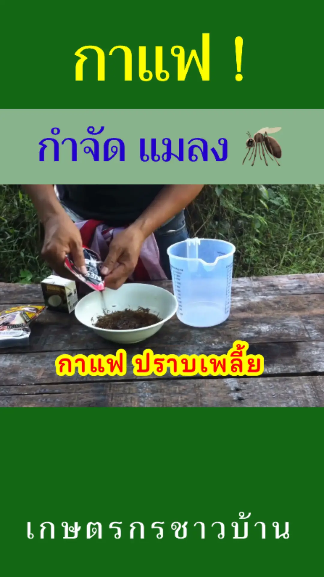 กาแฟดำ กำจัดแมลง เพลี้ย หนอน #เกษตรกรชาวบ้าน #การเกษตร 