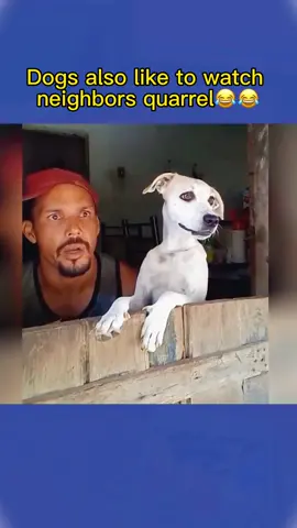 Dog: It’s so funny 😂 #dog#doglover#dogsofttiktok#fyp#foryou#meme#fyp#foryou