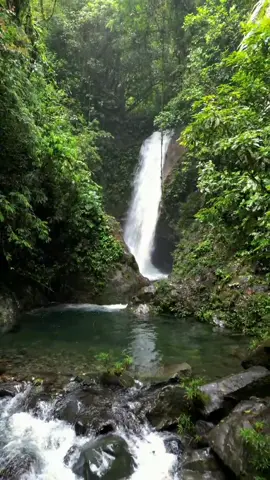 Panamá verde🇵🇦🌿#cascadas #waterfalls #panama #panamatiktok #parati #foryou 