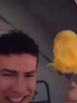 mango on a fork