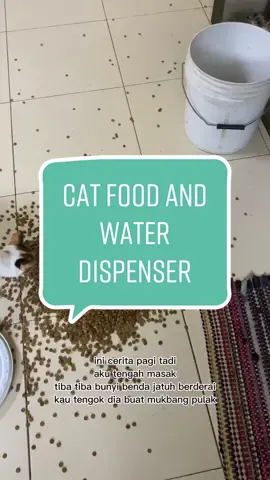 penat ye layan majokan ni, i ni bibik tak berbayar tau#CapCut #cat #pet #petlover #catfooddispenser #catfood #racuntiktok