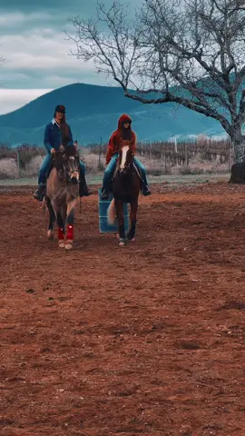 Guess what horse does what rodeo sport 🤷🏼‍♀️😂