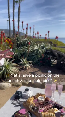 If you relate & live in LA let’s be friends. 😎 #passorsmash #losangeles #lagunabeach #girlhood #galentinesday #picnic 