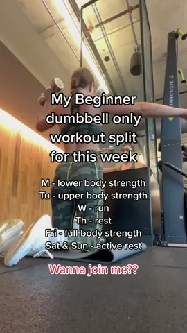 The weekly workout split for beginners! New workouts every week first week is free go try it at the 🔗 #weeklyworkoutroutine #beginnerworkoutroutine #beginnerworkouttips #dumbbellonlyworkouts #shygirlgymhack #beginnerworkoutprogram #weeklyworkoutplan #weeklyworkoutschedule 