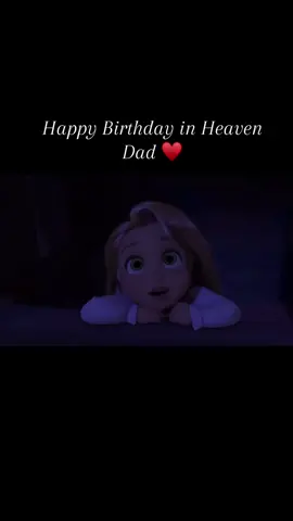 Irgendwann sind wir wieder zusammen und dann werde ich dir Tag & Nacht erzählen was noch alles passiert ist, nach dem du gegangen bist! 🕊️🕯️#fypシ #viral #happybirthdayinheaven #dad #rip #dufehlst 