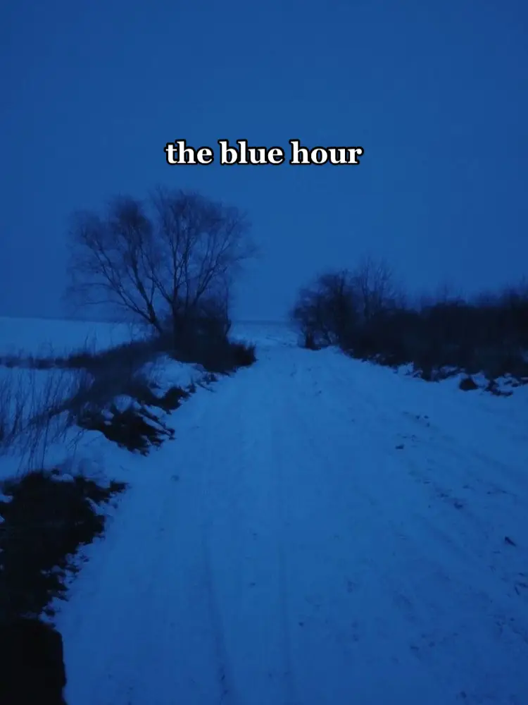 the blue hour has a sense of unreal ness that will make you question reality. the emptiness in the sky, the lighting that drowns everything in blue. Does it overwhelm you? or does it comfort? for me, the blue hour takes me to a place where I can sit and think about good times and bad, about new and old, future and past. what is the blue hour to you? - The blue hour (from French l'heure bleue;[1][a] pronounced [lœʁ blø]) is the period of twilight (in the morning or evening, around the nautical stage) when the Sun is at a significant depth below the horizon. During this time, the remaining sunlight takes on a mostly blue shade. This shade differs from the colour of the sky on a clear day, which is caused by Rayleigh scattering. #blue #bluehour #colors #aesthetic #mood #fyp #foryoupage #calming #rain #snow #viral #slideshow #trending