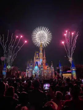Saw #disney #enchantment tonight!  Amazing show!  #disneyworld #disneyworld50 