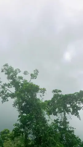 huwaeeee picah 😂 #kualakencanatimikapapua #komedialien👽 #omkur 