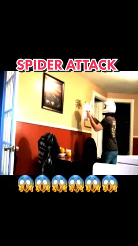 Big Spider Attack 🤣🤣 #spider #spiderman #attack #viral #viralvideo #viraltiktok #hilarious #funny #funnyvideos #fun #failsworld #funnymoments #funnytiktok #funn #funnymemes 