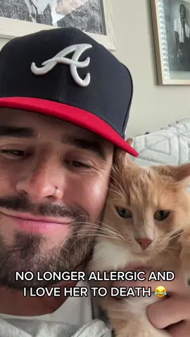 A true love story. 🐱  #catsoftiktok #catcontent #fyp #viral #cattok #funny #explore #lucky 