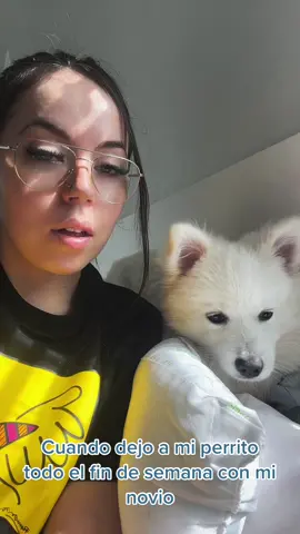 Dime la verdad #luki #americaneskimo #americaneskimodog #americaneskimopuppy #tiktok #doggy #Love #comedy 