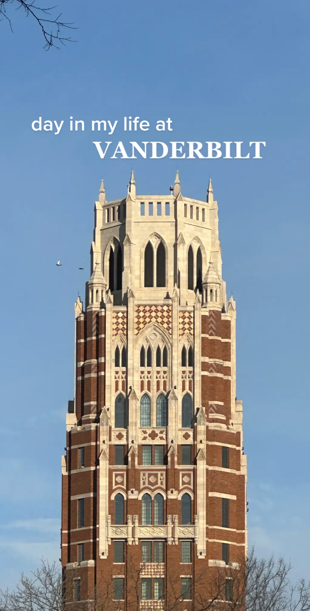 yesterday felt like summer😍  #vanderbilt #dayinmylife #fyp 