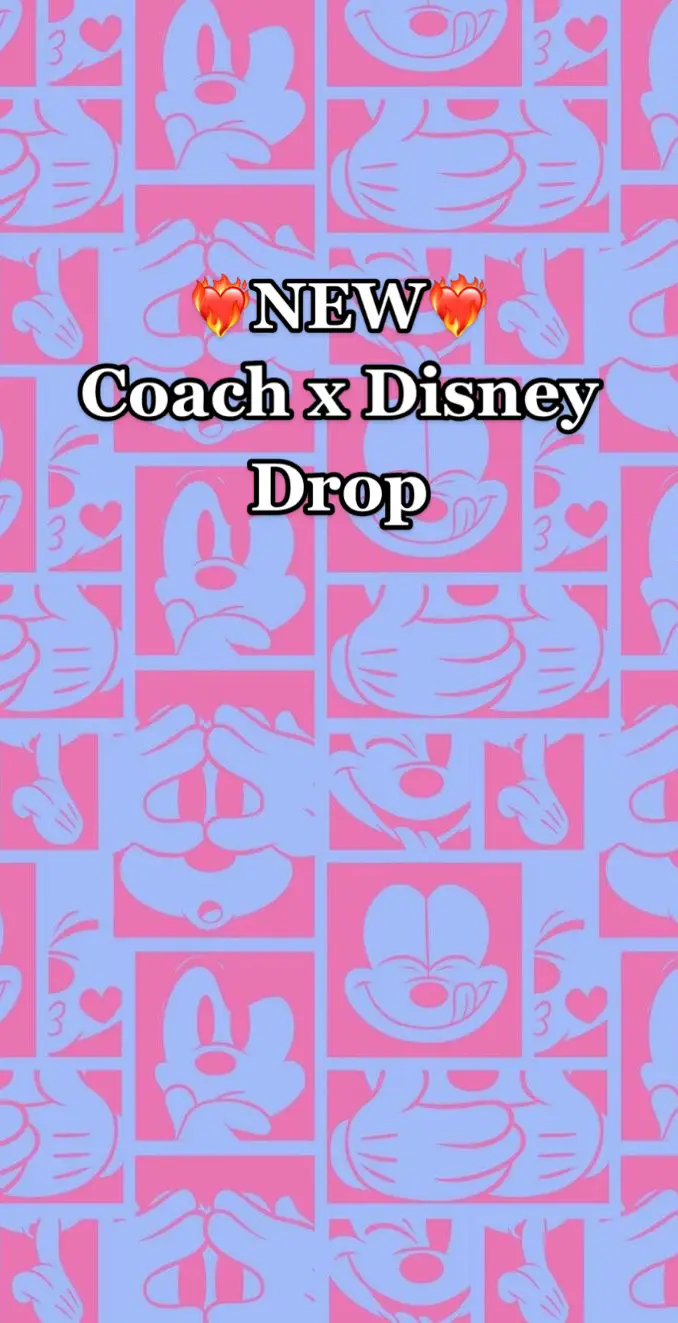 THEY DIDN’T HAVE TO GO THAT HARD WITH THIS DROP😮‍💨🤯 @coach 