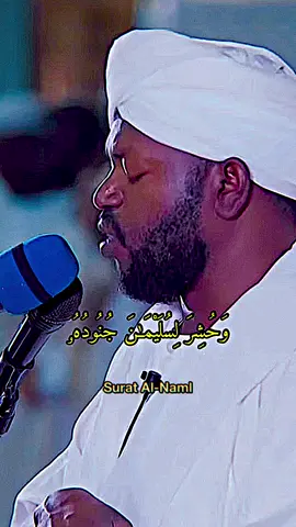 #سورة_النمل  #نورين_محمد_صديق  #نورين  #شيخ_نورين_محمد_رحمه_الله  #شيخ_نورين_محمد_صديق  #سودانيز_تيك_توك  #سوداني  #قران_كريم  #قران 