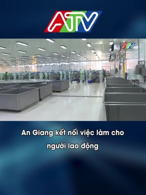 An Giang kết nối việc làm cho người lao động #daitruyenhinhangiang #atvtintuc #atvtonghop