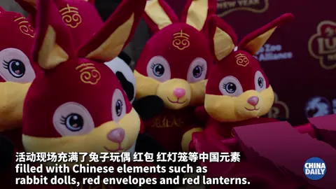 #sandiegozoo hosts #LunarNewYear #celebration #china #travel #culture
