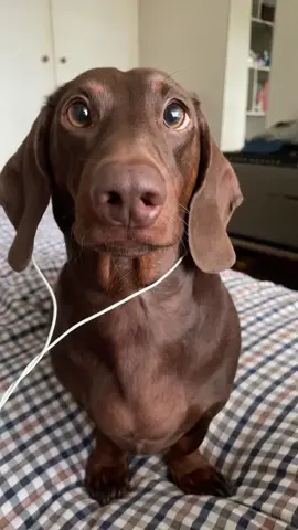 Oliver 🤭