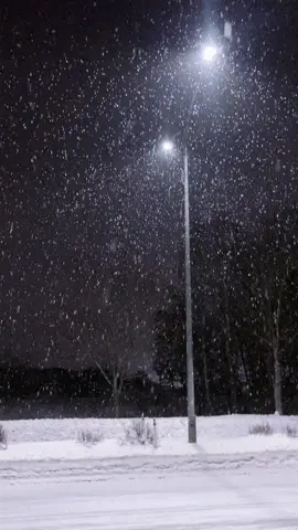 3am Hokkaido snow  > > #hokkaido #japantravel  #travle  #japan #japanstreet #hokkaido #snow #snowman #fallingsnow #darkacademia #darkaesthetic #aesthetic #darkaesthetics #darkaestheticvibes #darkvibes #darkaestheticvideos #aesthwticvibe #snowaesthetic #snowaestheticsss #snowvibes #snowvideos 