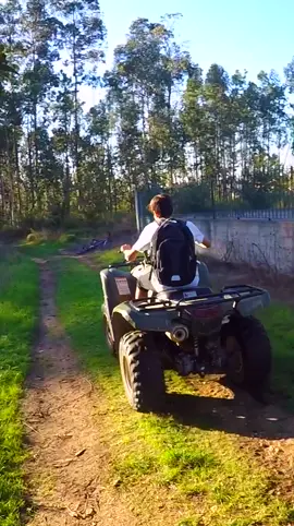 Thieves steal my quad #wholesome #quad 
